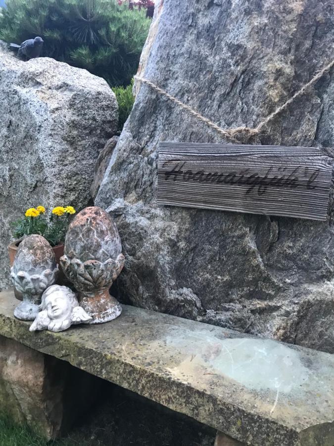 Das Enzian Aschau Im Zillertal Eksteriør billede